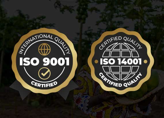 <h2>CERTIFICATION ISO 9001 / 14001</h2>