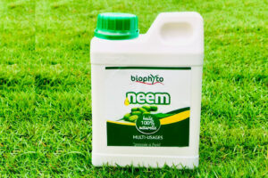 Huile de Neem insecticide