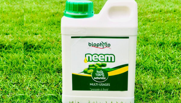 Huile de Neem insecticide