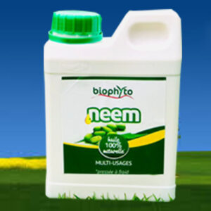 Huile de Neem