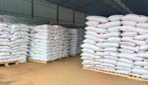 Pourquoi choisir un engrais organique ?