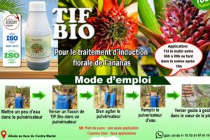 Application du TIF-Bio