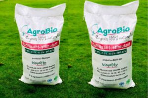 Avantages des intrants organiques dans la culture du palmier à huile