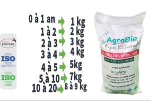 Entretien du palmier à huile la clé d’un rendement durable