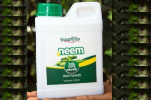 huile de neem