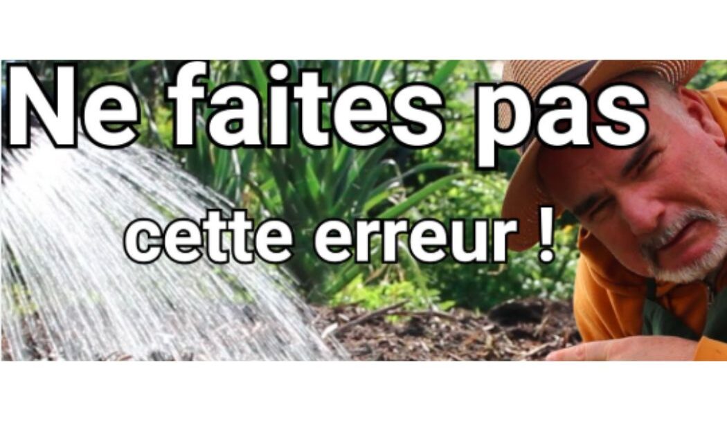 Top 5 des erreurs qui appauvrissent vos sols et comment les corriger ?