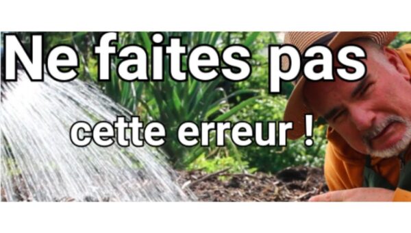 Top 5 des erreurs qui appauvrissent vos sols et comment les corriger ?