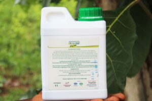 Huile de Neem insecticide naturel