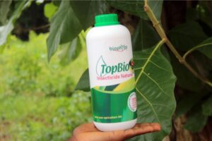 insecticide naturel TopBio