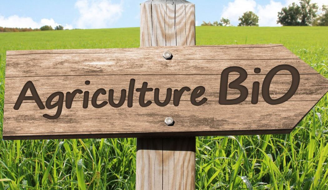 agriculture biologique