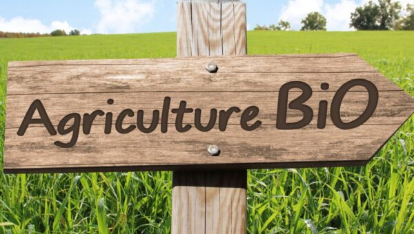 agriculture biologique